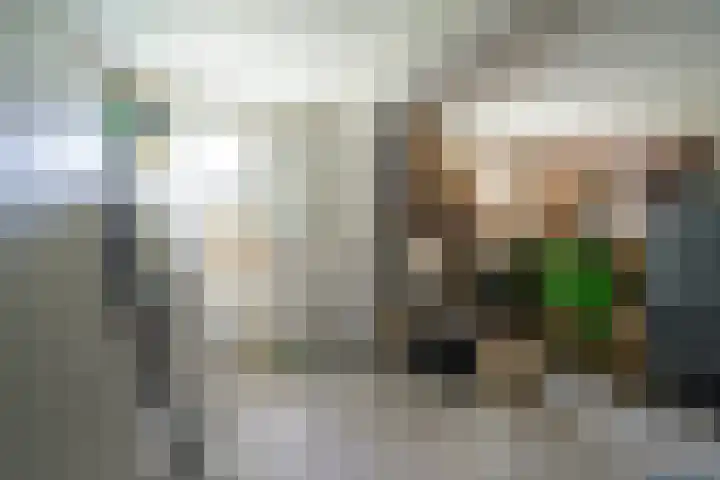 Verbeetenstraat 81 Breda thumbnail 36