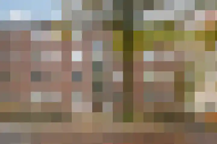 Verbeetenstraat 81 C Breda thumbnail 6