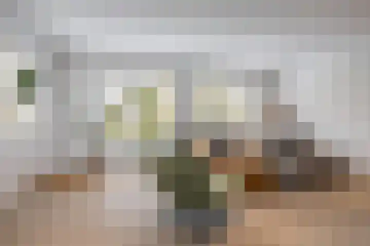 Verbeetenstraat 81 C Breda thumbnail 8