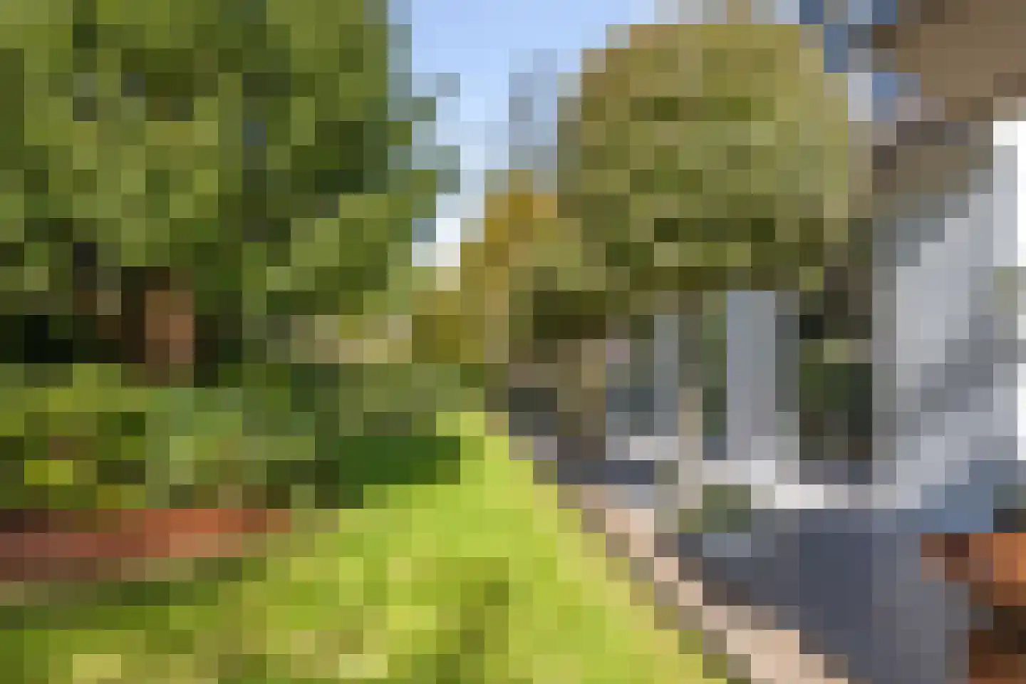 Verbenalaan 5 Aerdenhout thumbnail 31
