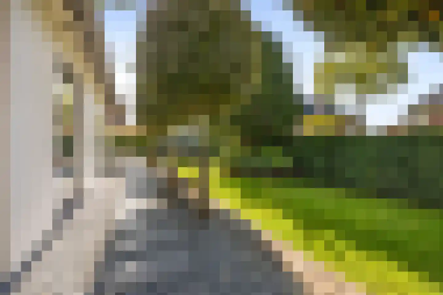 Verbenalaan 5 Aerdenhout thumbnail 38