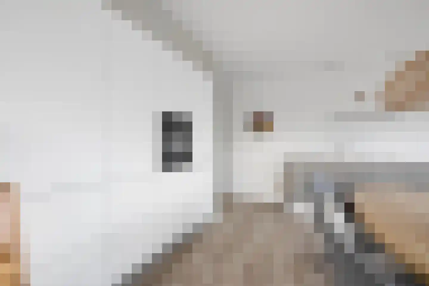 Verbindelaarshof 10 Ede thumbnail 11