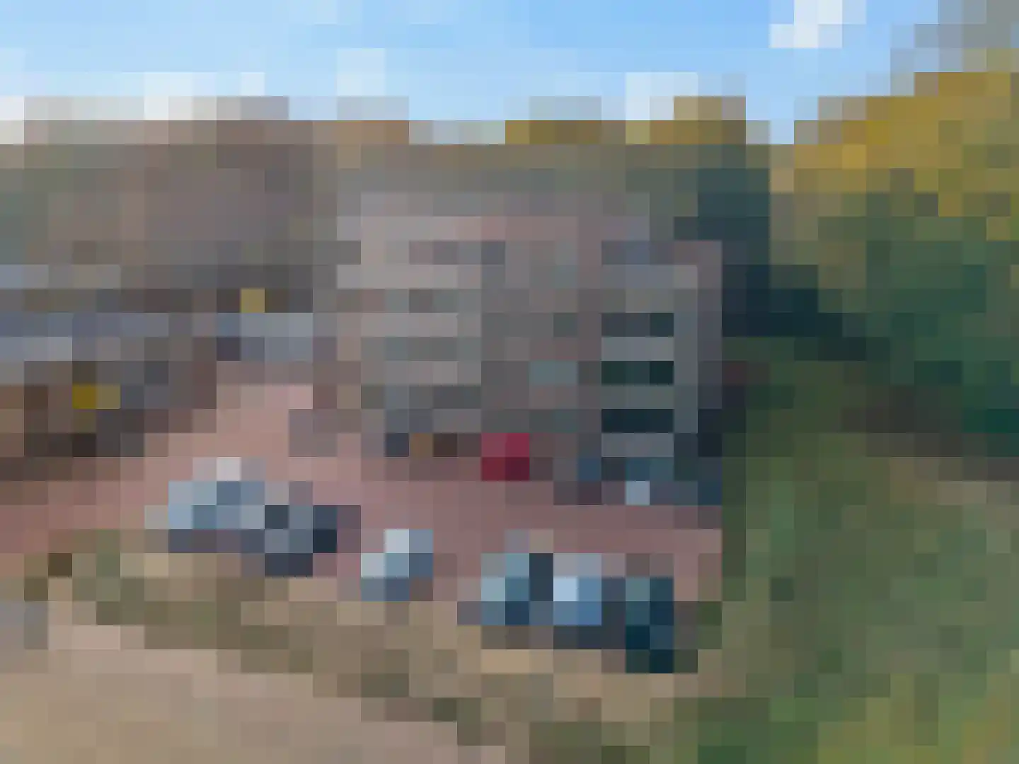 Verbindelaarshof 10 Ede thumbnail 33