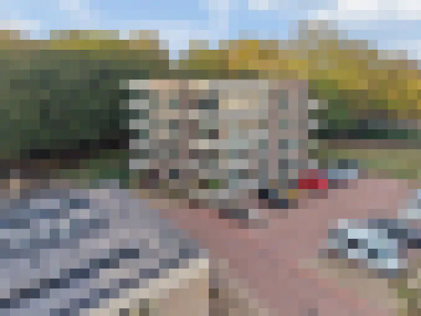 Verbindelaarshof 10 Ede thumbnail 34