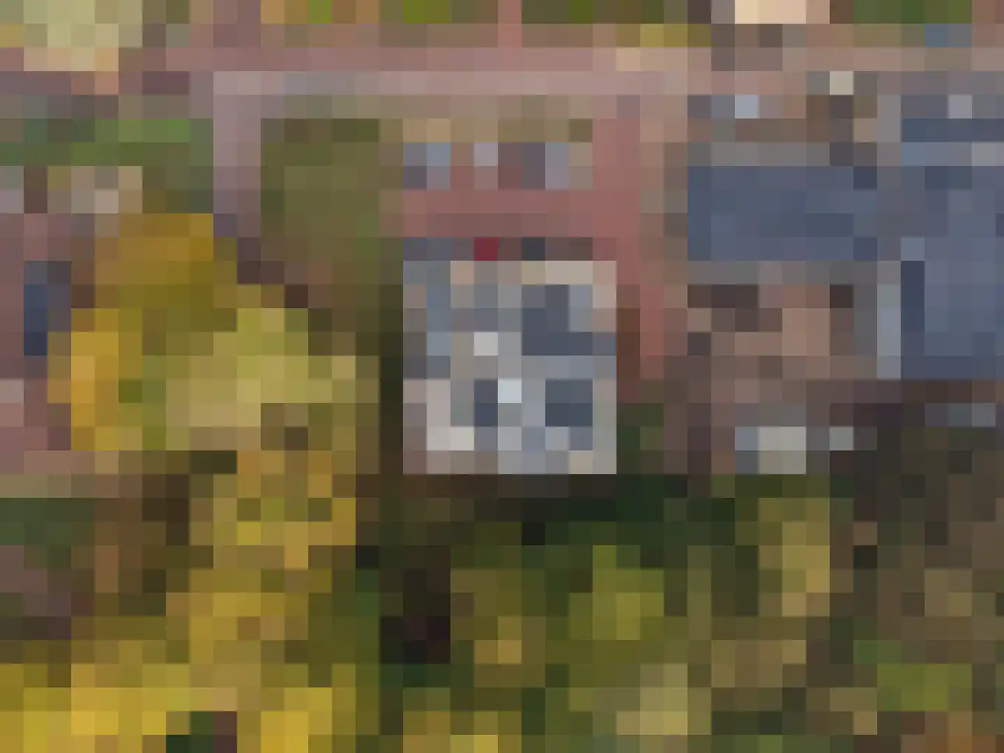 Verbindelaarshof 10 Ede thumbnail 35