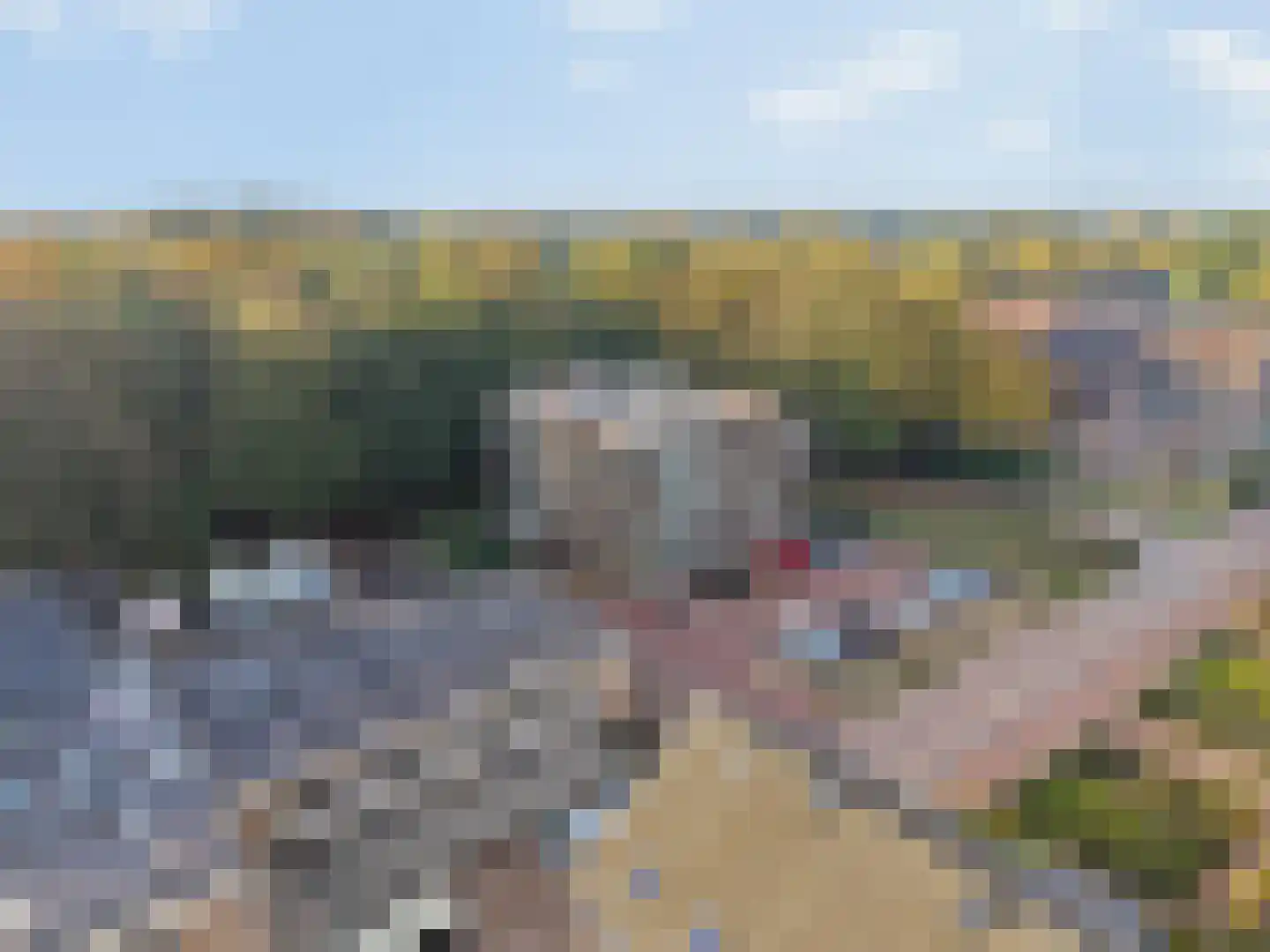 Verbindelaarshof 10 Ede thumbnail 36