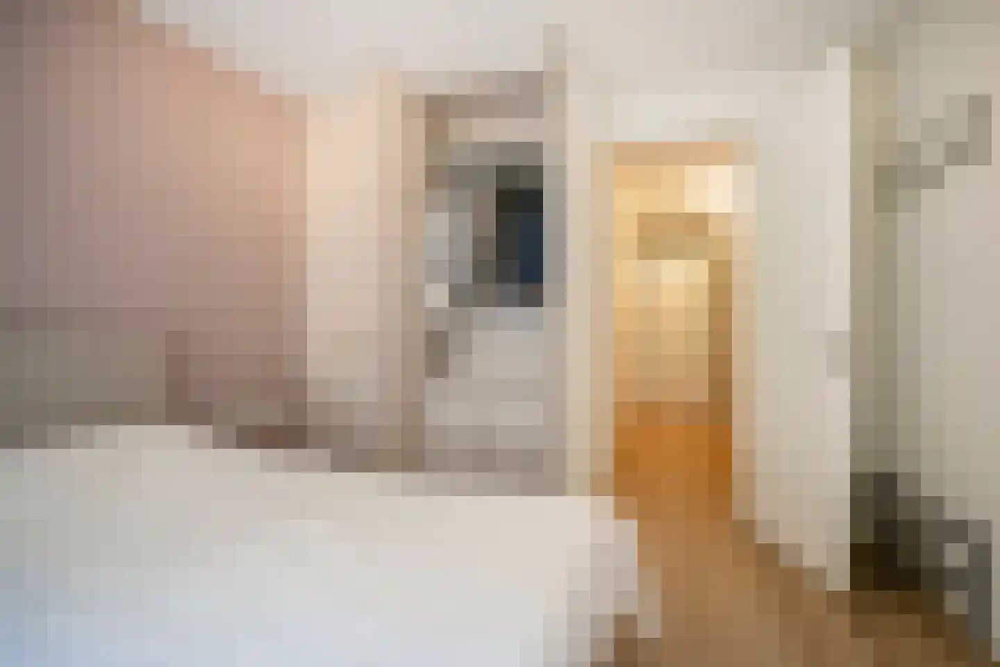 Verbindelaarshof 24 Ede thumbnail 30