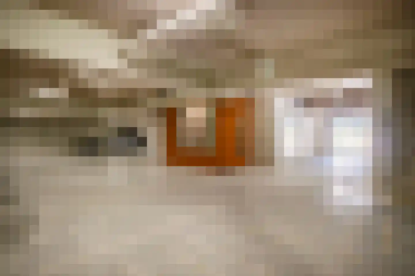 Verbindelaarshof 24 Ede thumbnail 40