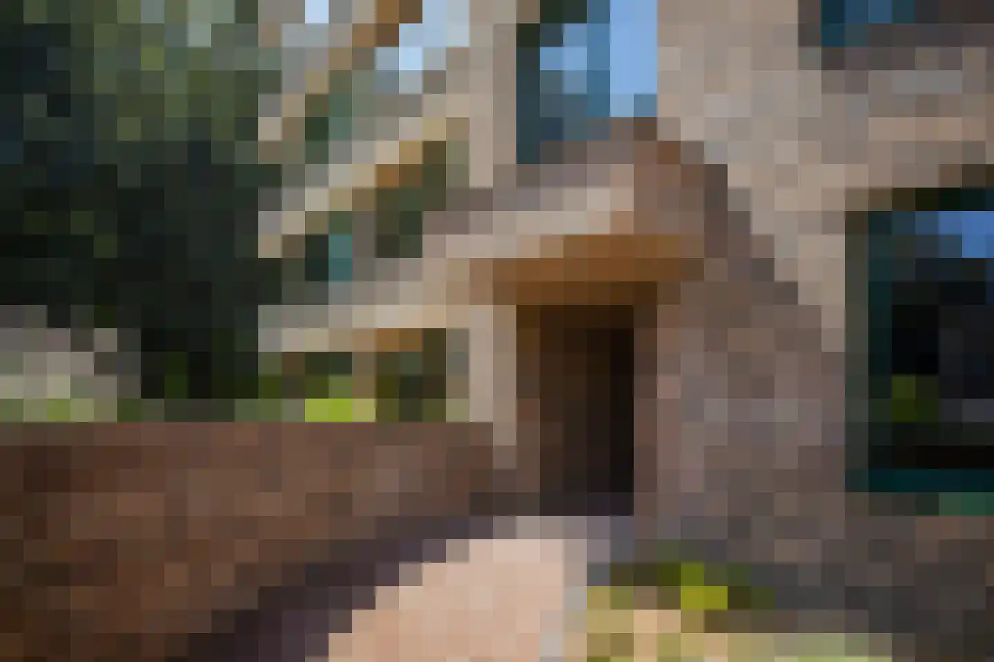 Verbindelaarshof 24 Ede thumbnail 43