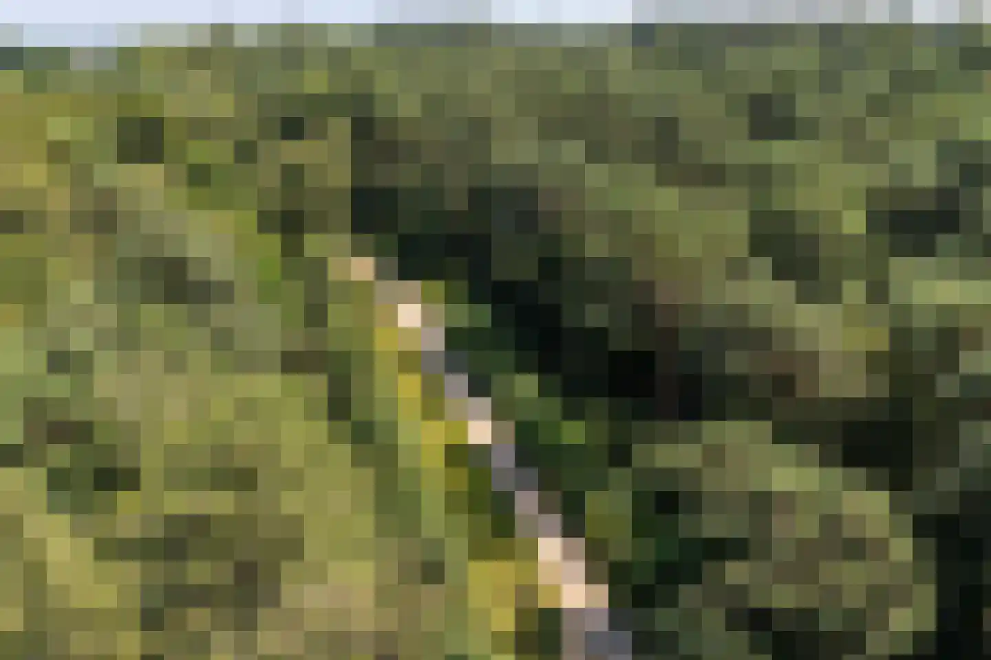Verbindelaarshof 24 Ede thumbnail 52