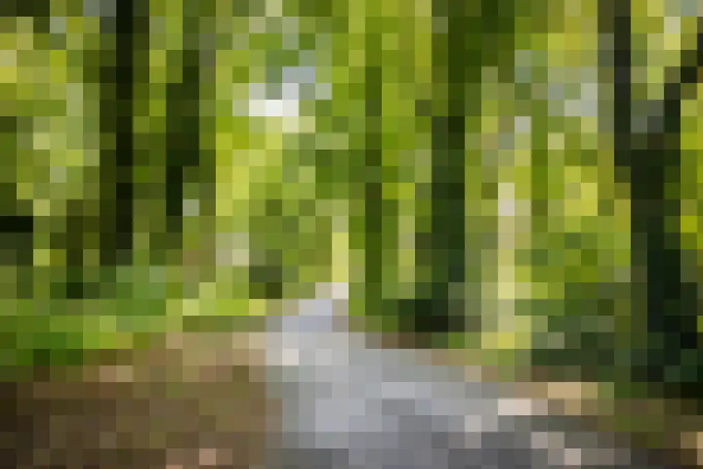 Verbindelaarshof 24 Ede thumbnail 53