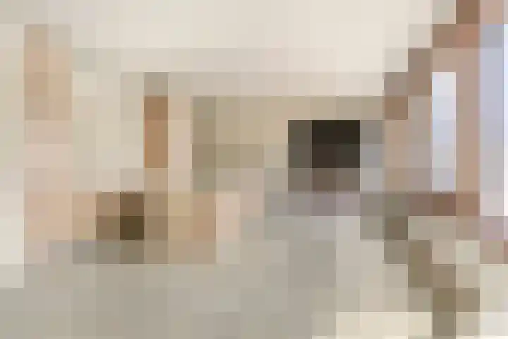 Verbindelaarshof 28 Ede thumbnail 14