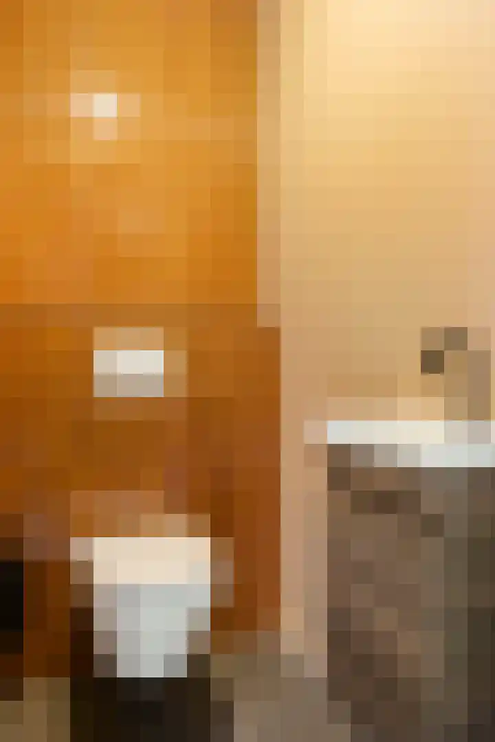 Verbindelaarshof 28 Ede thumbnail 21