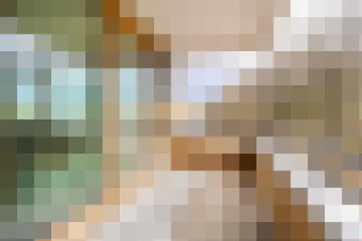 Verbindelaarshof 28 Ede thumbnail 26