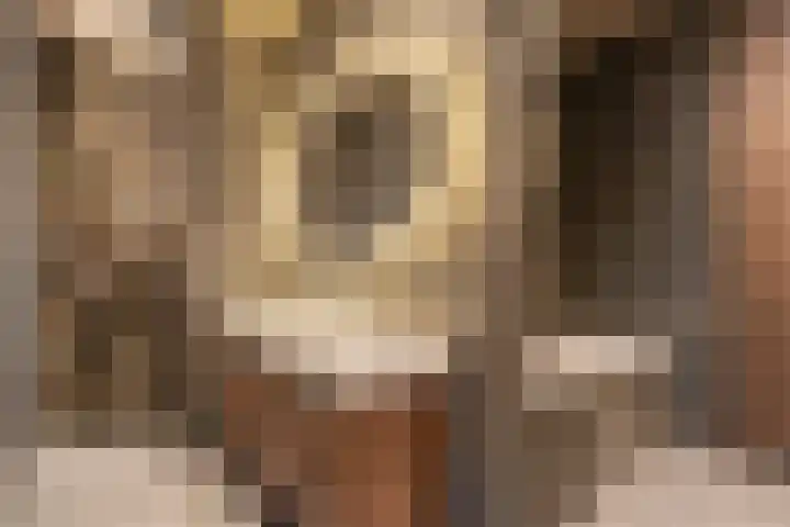 Verbindelaarshof 28 Ede thumbnail 4