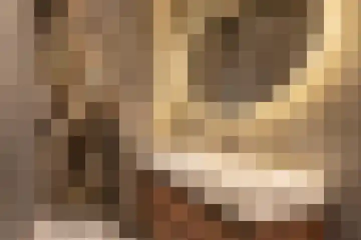 Verbindelaarshof 28 Ede thumbnail 45
