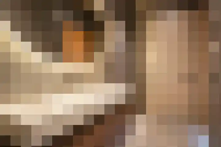 Verbindelaarshof 28 Ede thumbnail 46