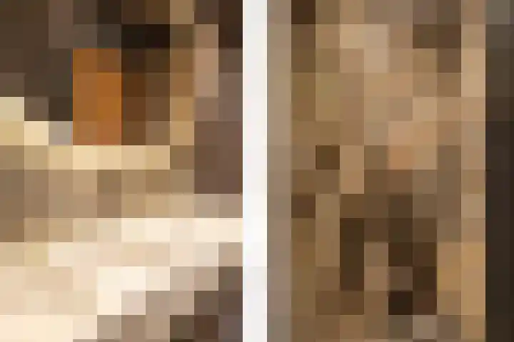 Verbindelaarshof 28 Ede thumbnail 48