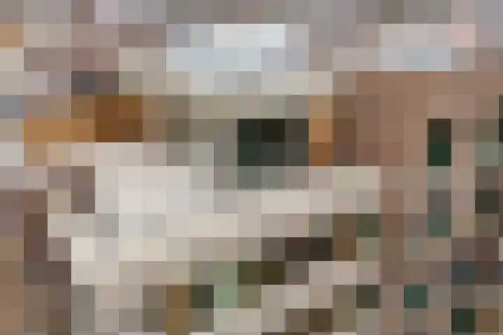 Verbindelaarshof 28 Ede thumbnail 5