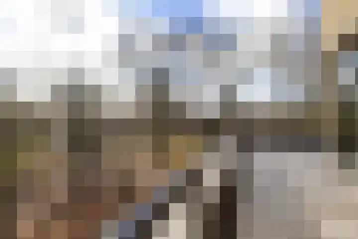 Verbindelaarshof 28 Ede thumbnail 60