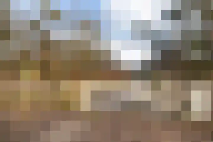Verbindelaarshof 28 Ede thumbnail 68