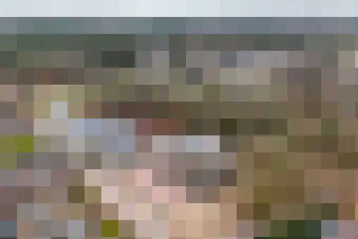 Verbindelaarshof 28 Ede thumbnail 69