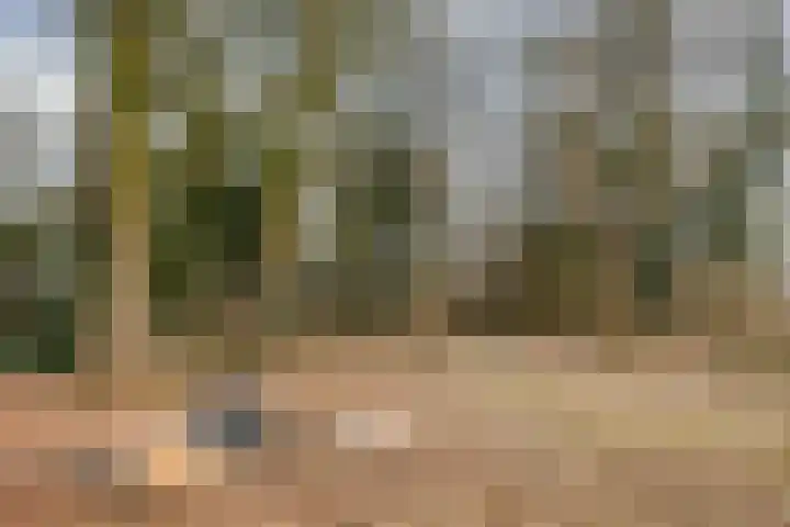 Verbindelaarshof 28 Ede thumbnail 71