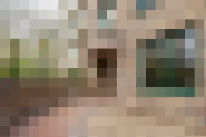 Verbindelaarshof 28 Ede thumbnail 8