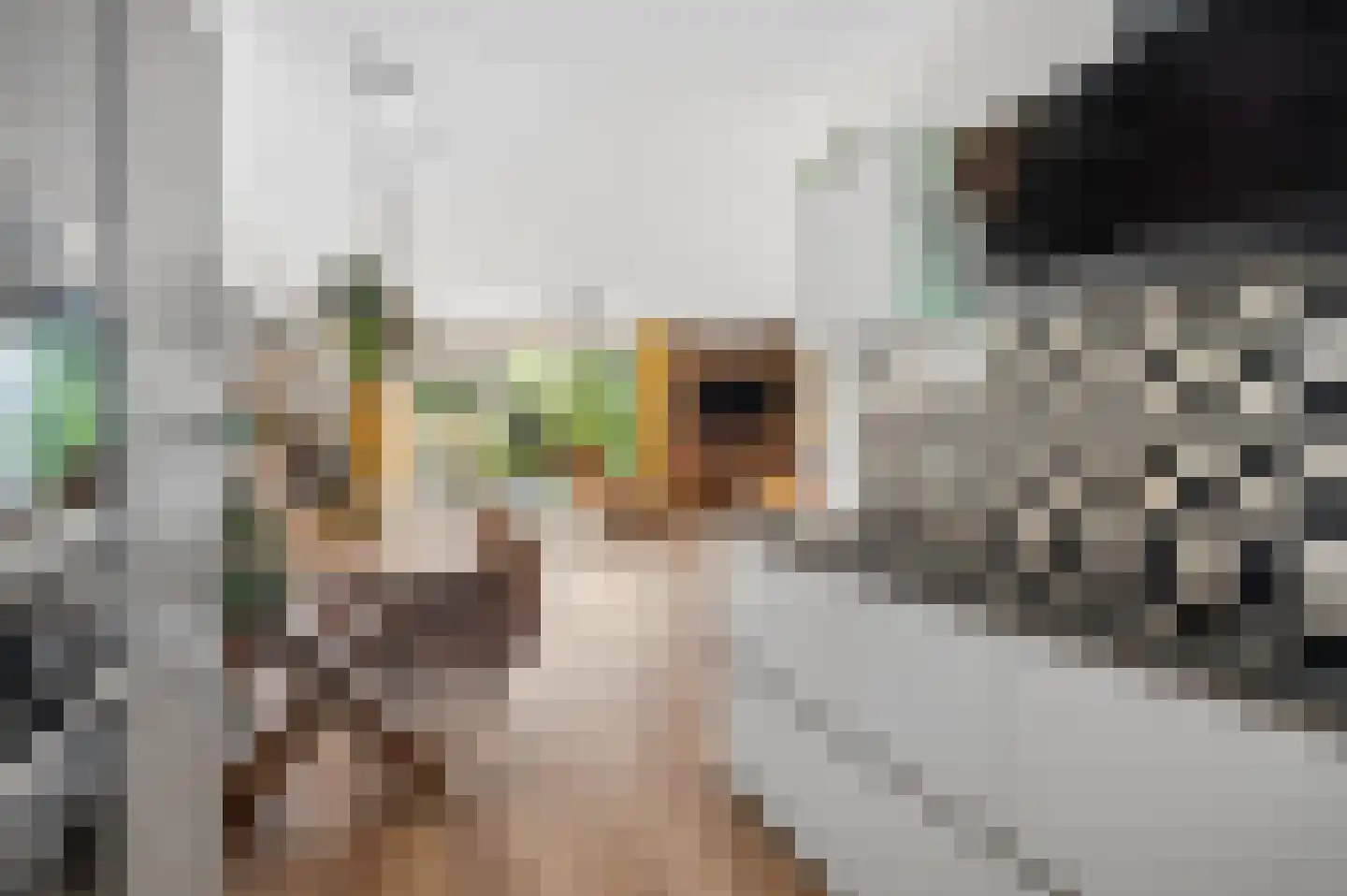 Verbindelaarsweg 103 Ede thumbnail 13