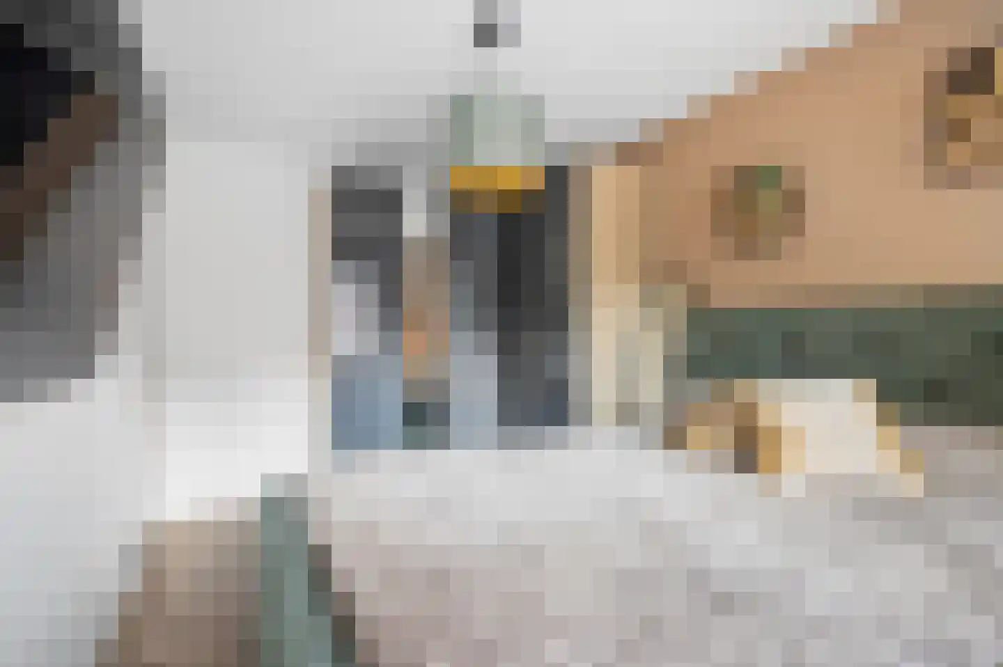 Verbindelaarsweg 103 Ede thumbnail 18