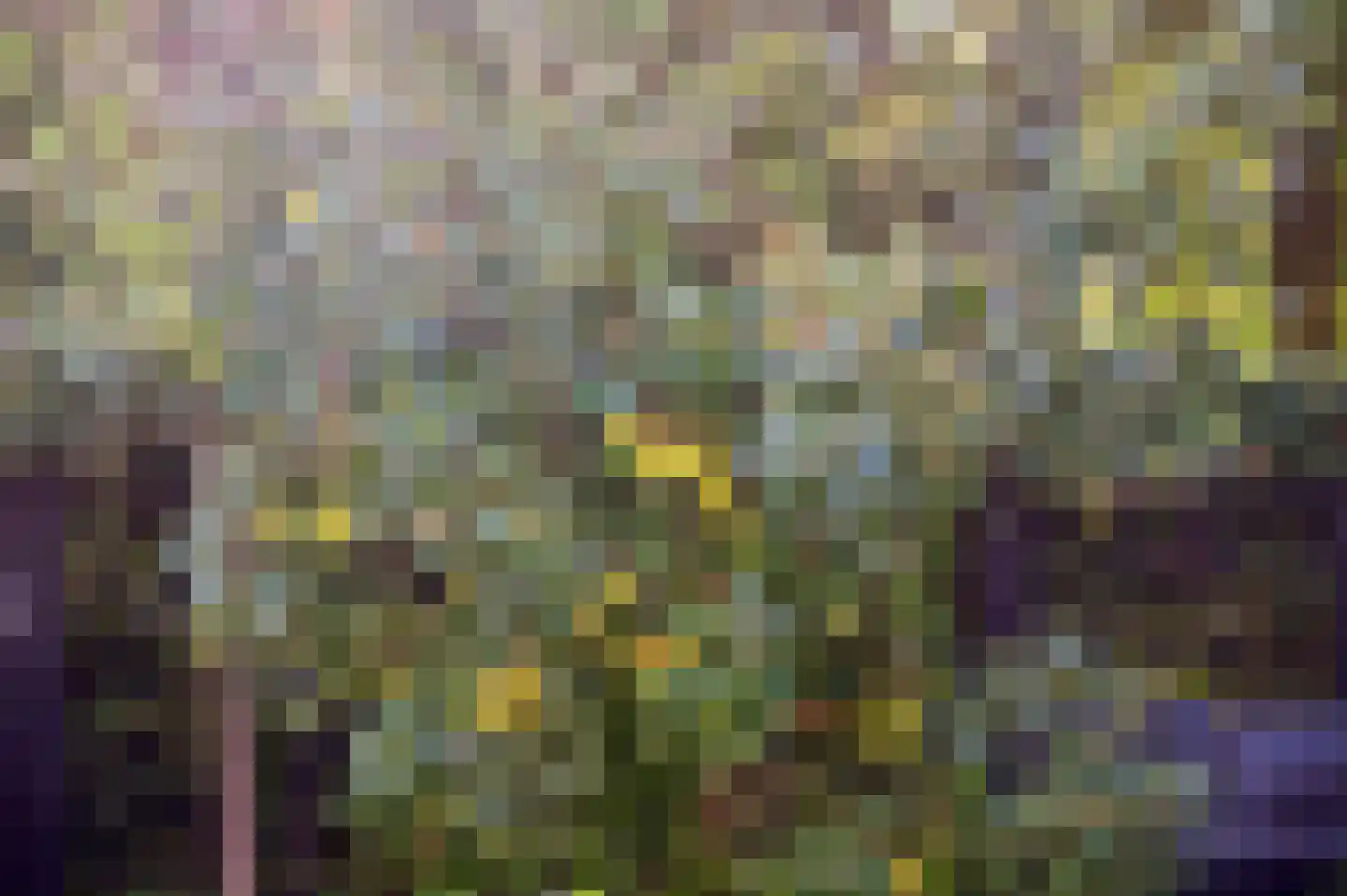 Verbindelaarsweg 103 Ede thumbnail 33
