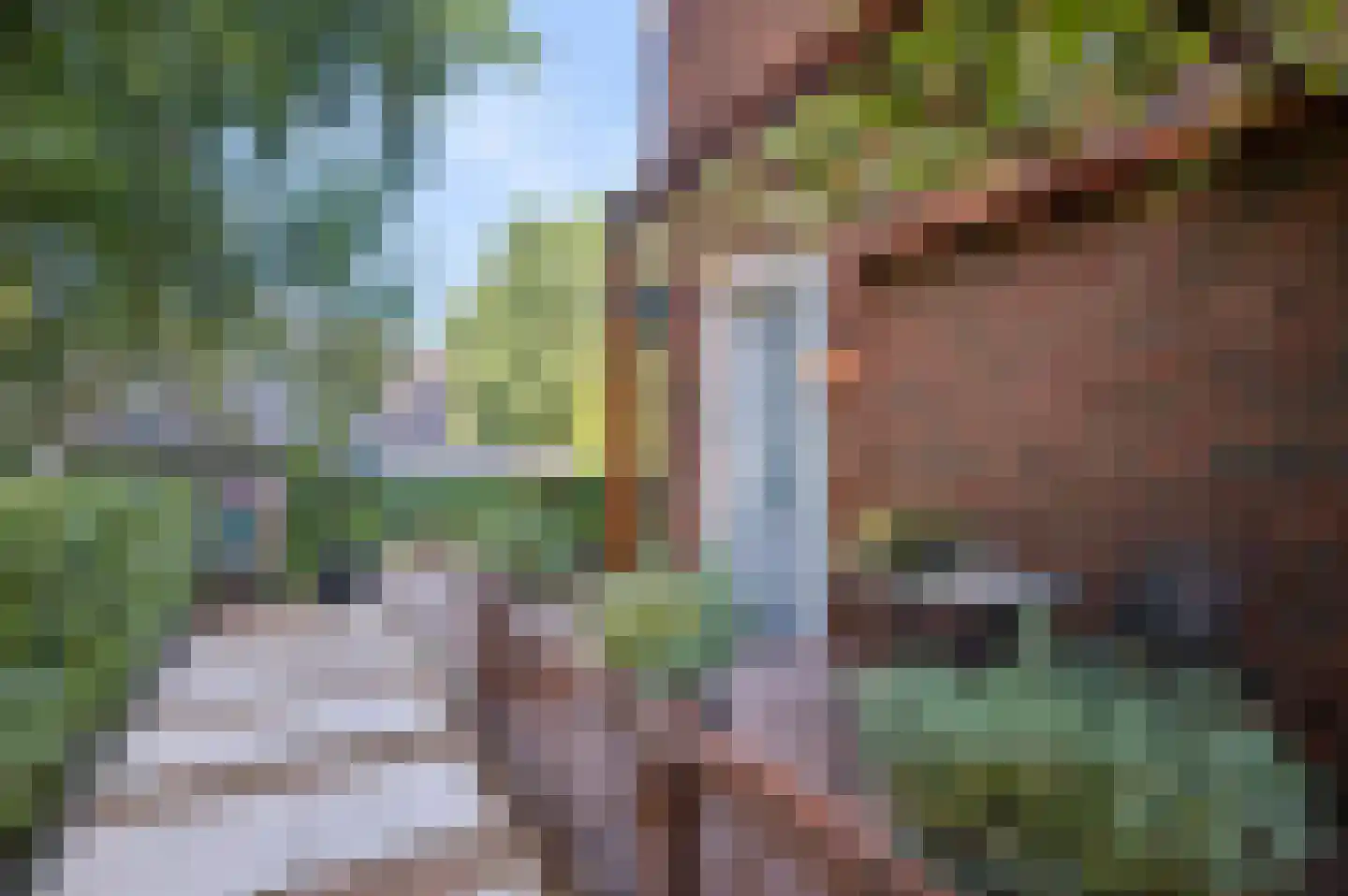 Verbindelaarsweg 103 Ede thumbnail 37