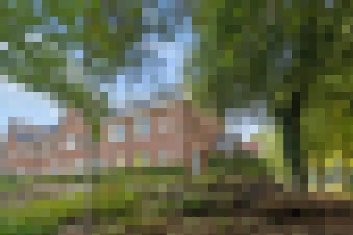 Verbindelaarsweg 103 Ede thumbnail 42