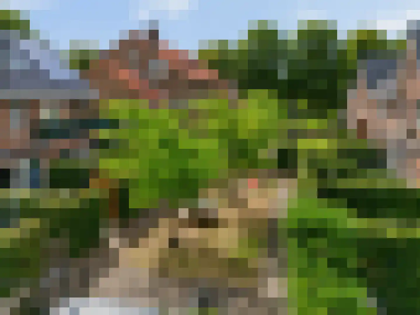 Verbindelaarsweg 103 Ede thumbnail 47