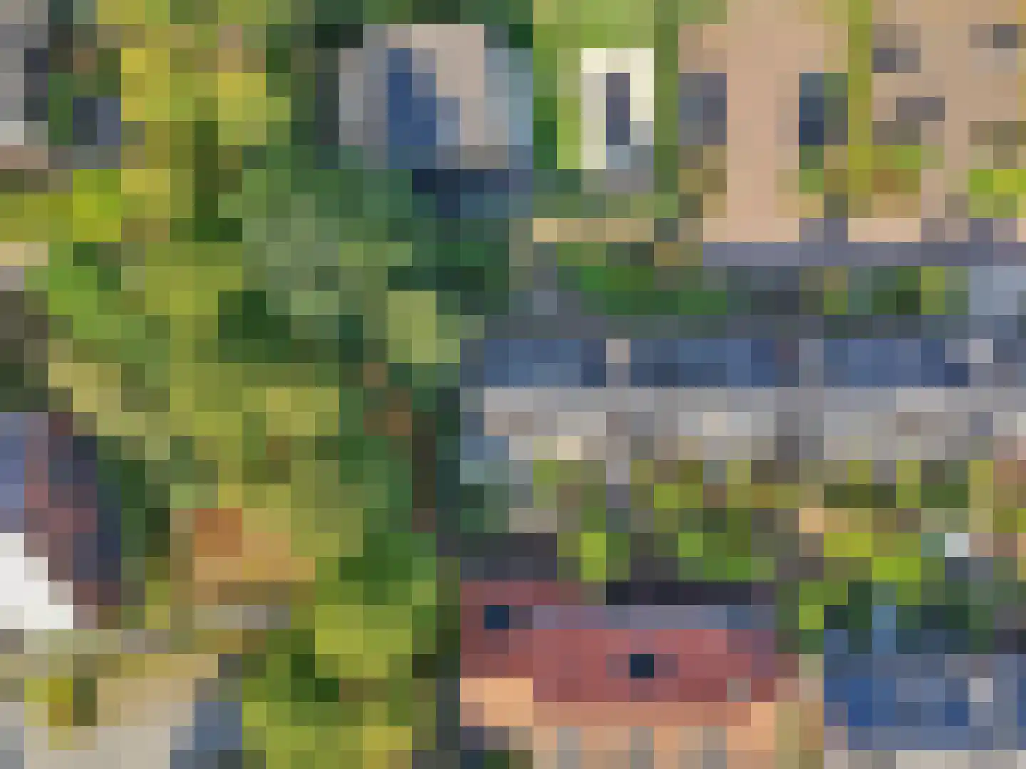 Verbindelaarsweg 103 Ede thumbnail 52