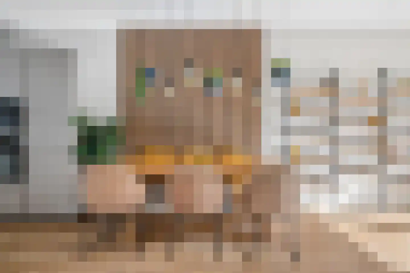 Verbindelaarsweg 103 Ede thumbnail 8