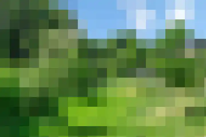 Verbindelaarsweg 111 Ede thumbnail 18