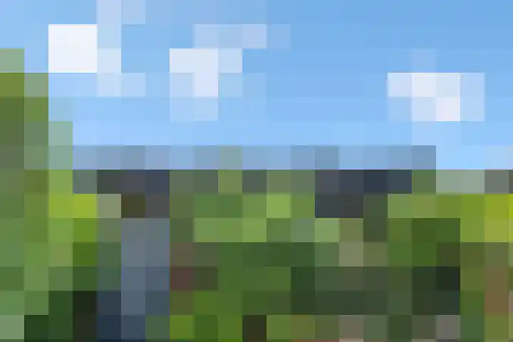Verbindelaarsweg 111 Ede thumbnail 22