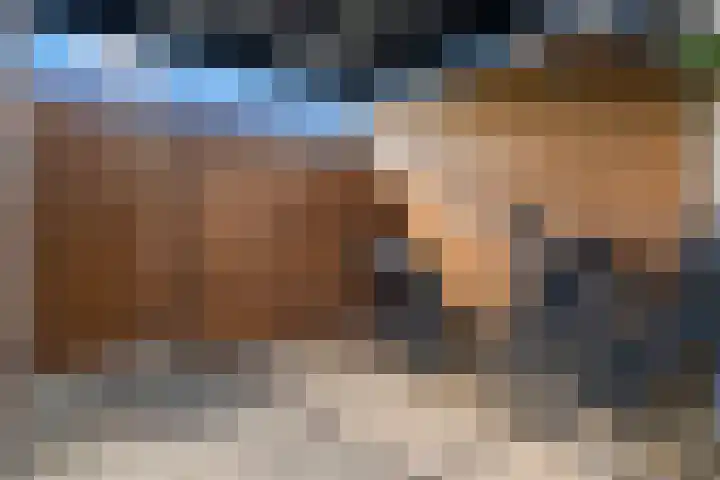 Verbindelaarsweg 111 Ede thumbnail 24