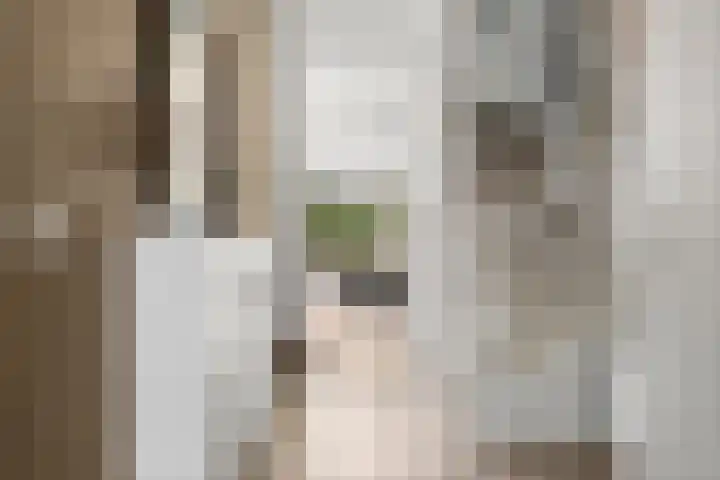 Verbindelaarsweg 111 Ede thumbnail 26