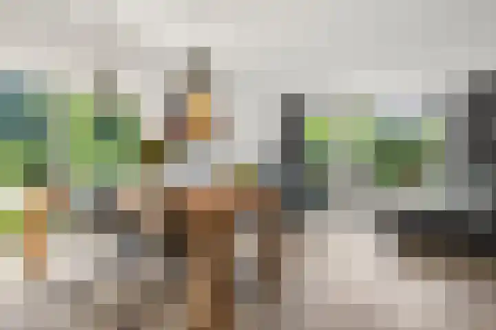 Verbindelaarsweg 111 Ede thumbnail 33