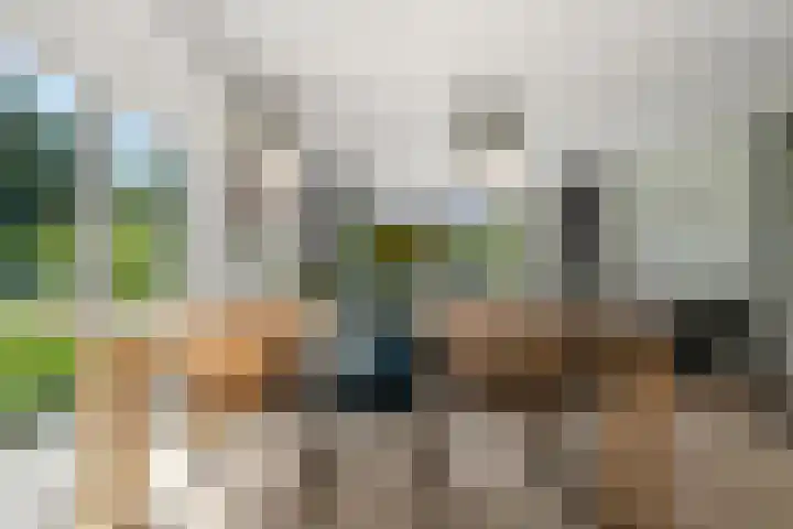 Verbindelaarsweg 111 Ede thumbnail 34
