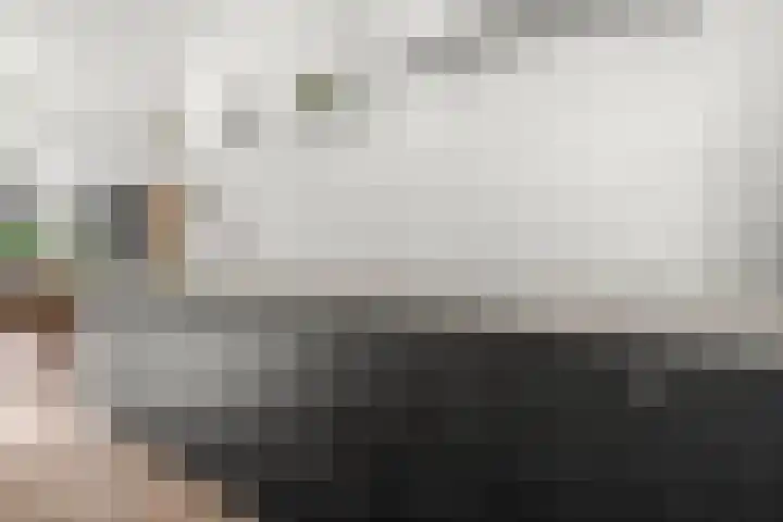 Verbindelaarsweg 111 Ede thumbnail 36