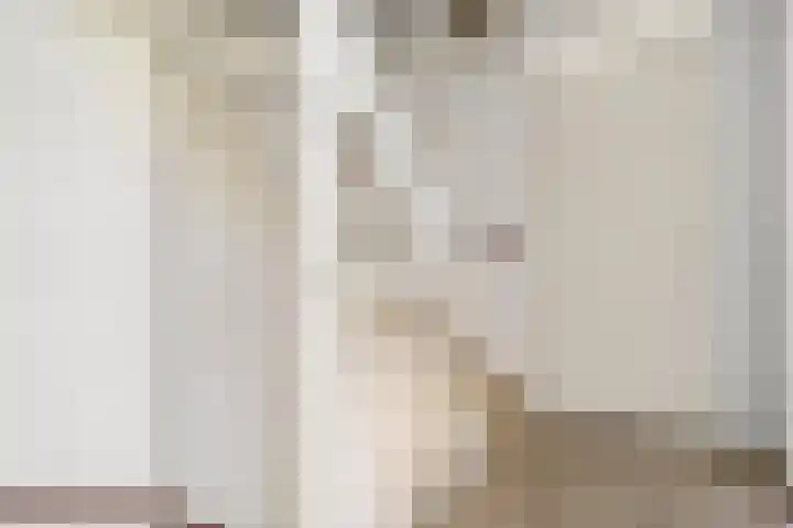 Verbindelaarsweg 111 Ede thumbnail 38
