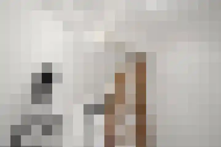 Verbindelaarsweg 111 Ede thumbnail 52