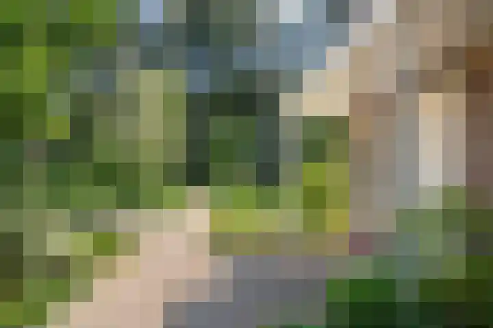 Verbindelaarsweg 111 Ede thumbnail 7