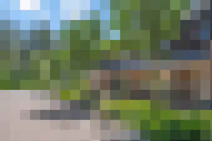 Verbindelaarsweg 111 Ede thumbnail 8