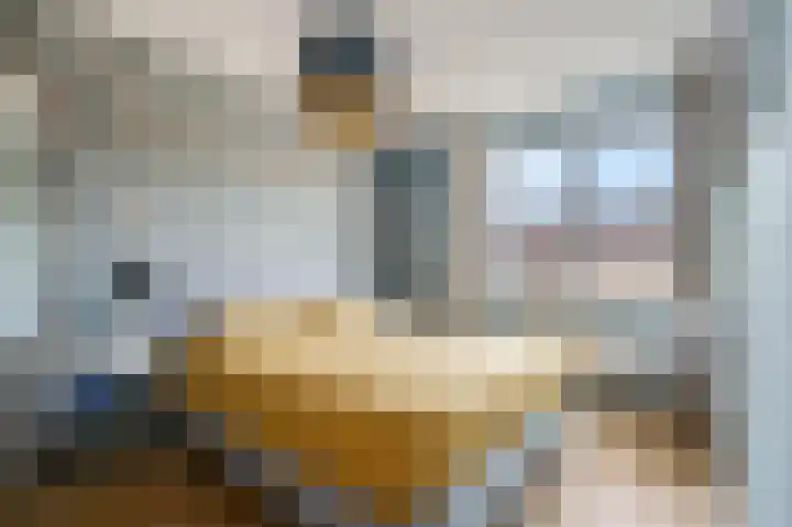 Verbindelaarsweg 123 Ede thumbnail 18