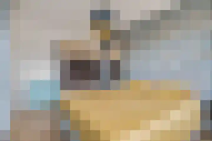Verbindelaarsweg 123 Ede thumbnail 19