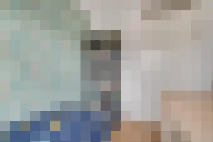 Verbindelaarsweg 123 Ede thumbnail 21